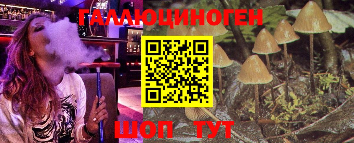Псилоцибиновые грибы GOLDEN TEACHER  Вход с VPN  Луховицы 